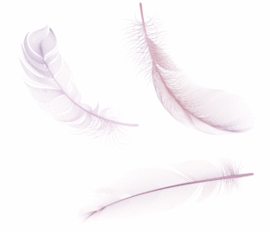 Réflexologue à saint-marc-Jaumegarde